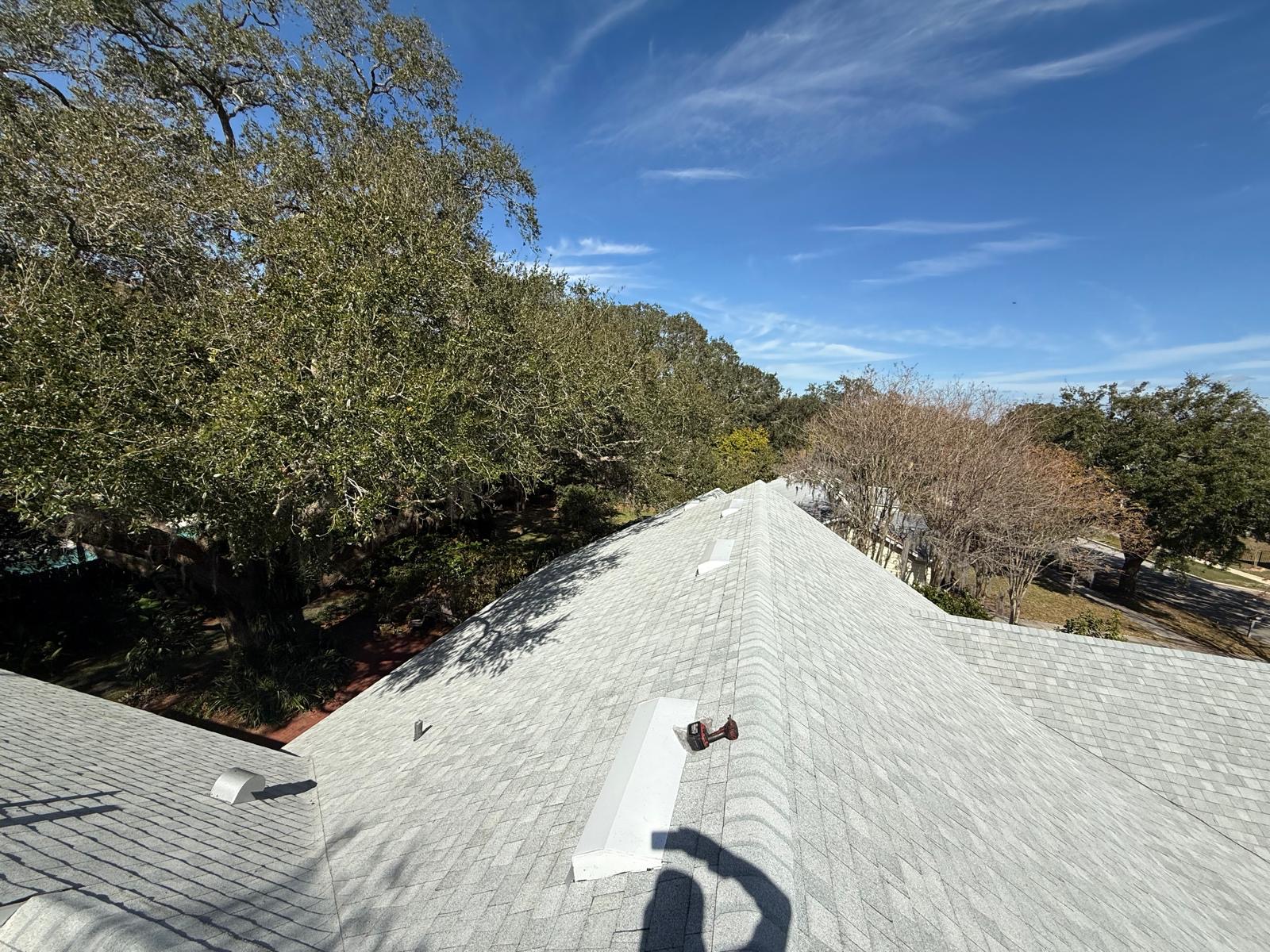 Illustrative view of a shingle roof ridge surrounded by trees